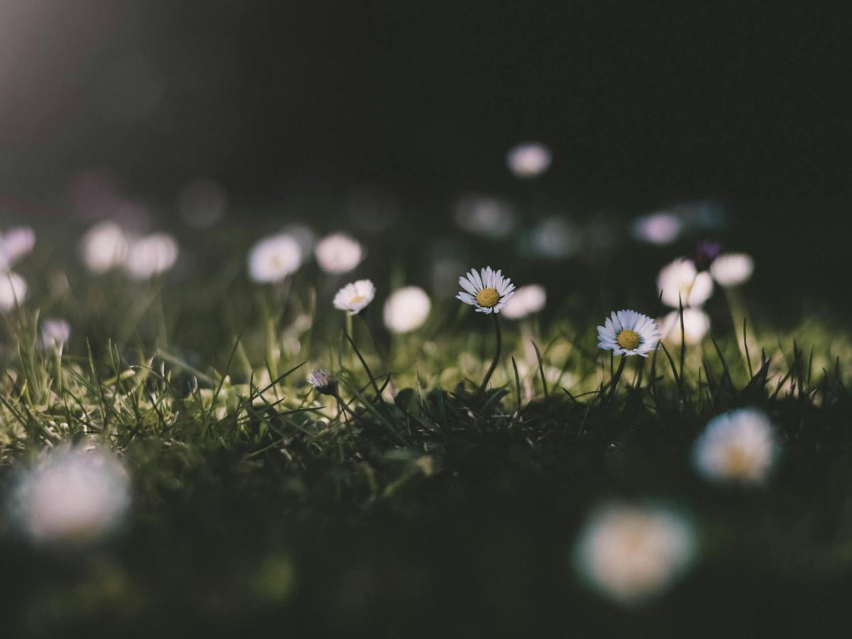 Beltane: Peak of Spring