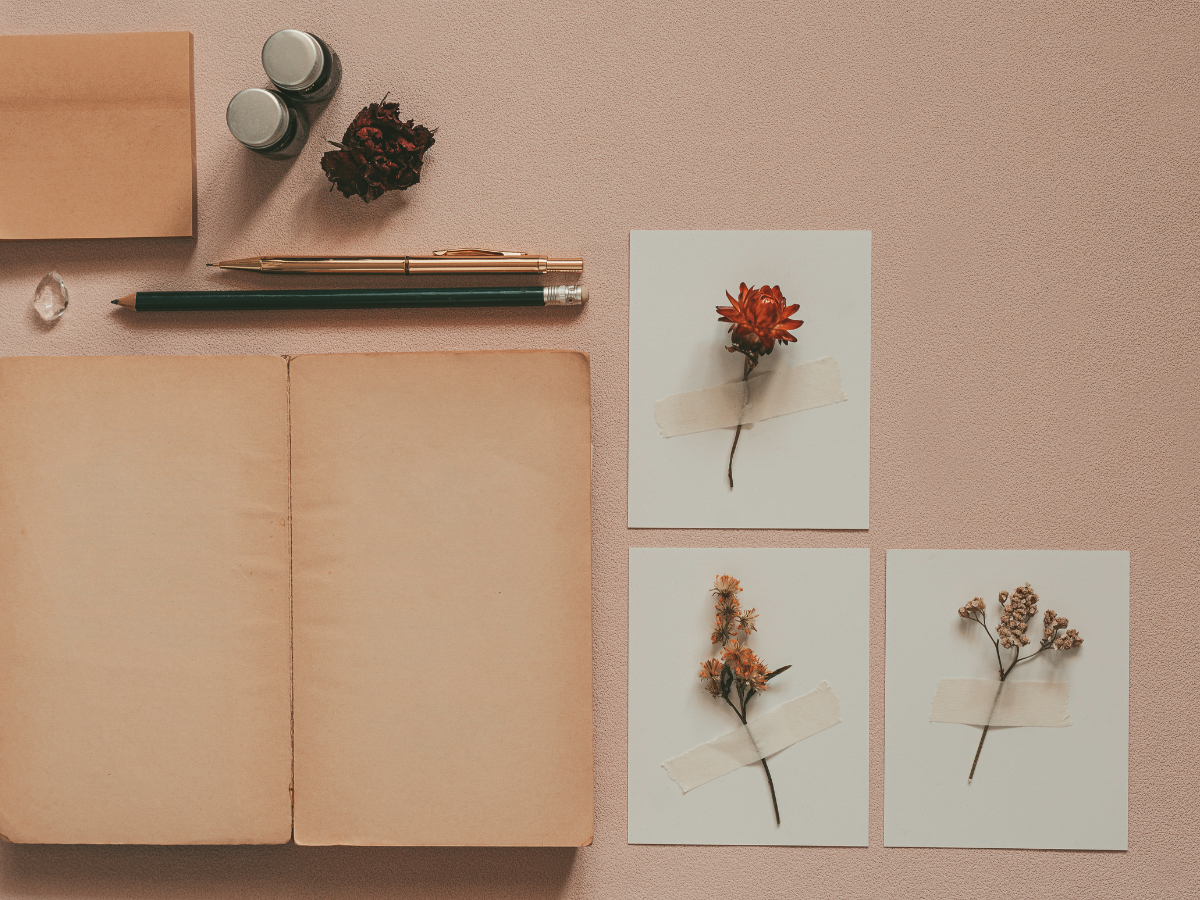 New Moon Life Check-In: How to Align Yourself with the Lunar Cycle