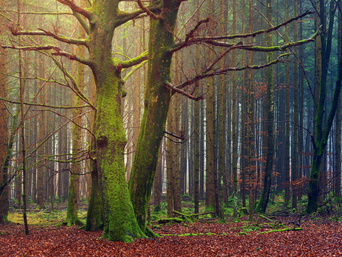 Mistakes I made as a new witch