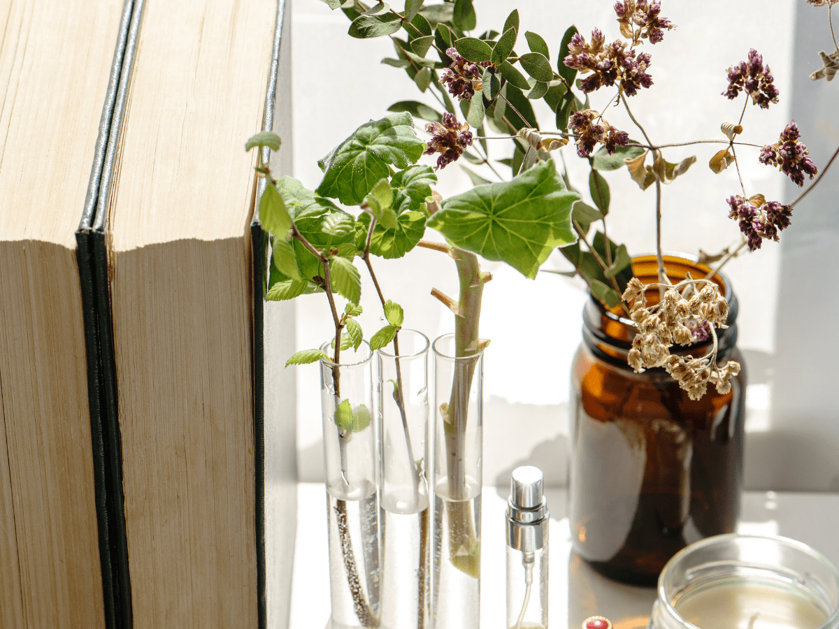 18 Questions You Can Ask Your Spirit Guides