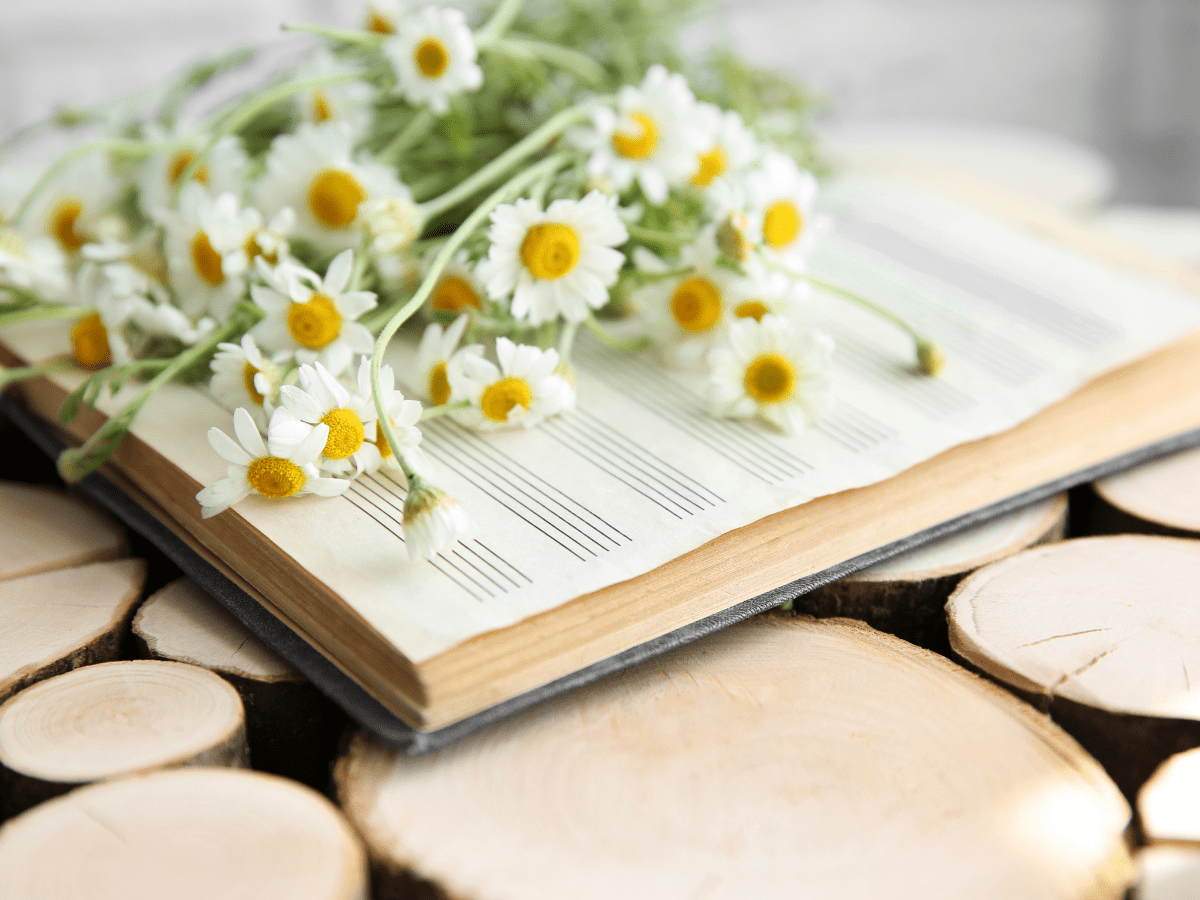 Monthly Rituals for a Spiritual Reset